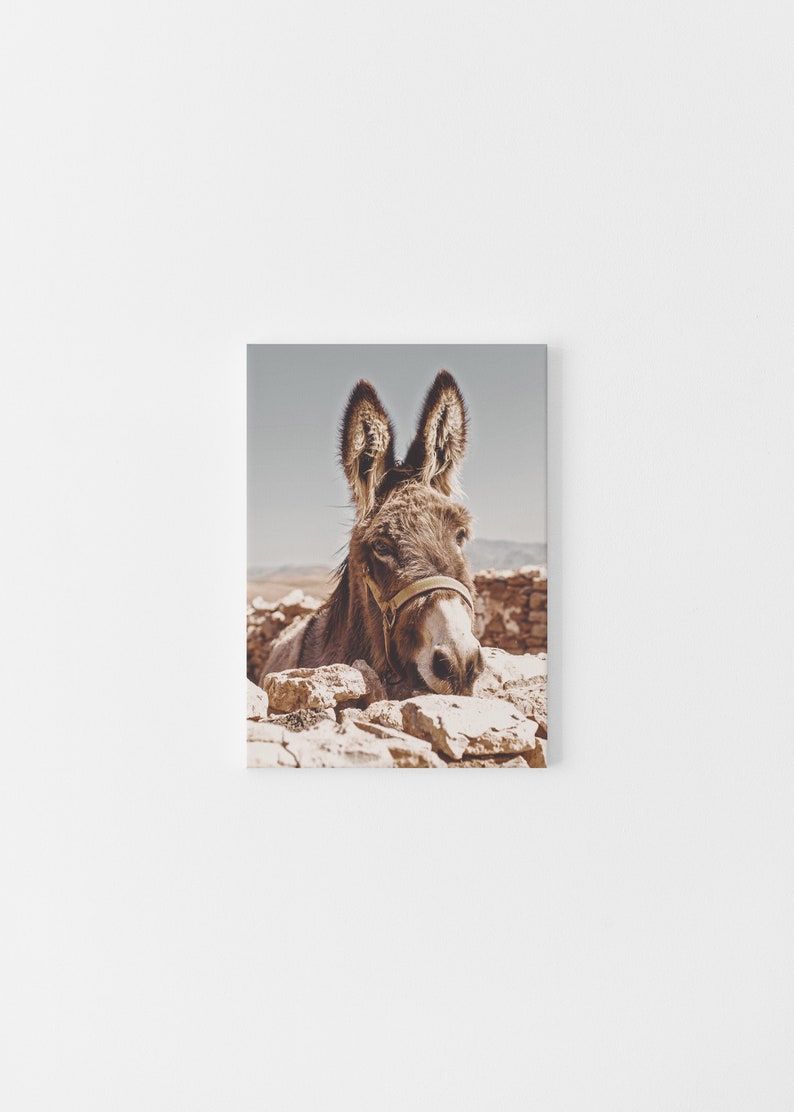 Southwestern Donkey Burro Art Print, Digital Print, Burro, Morocco, Desert Animal, New Mexico, California, Joshua Tree, Modern Boho Home Art image 3