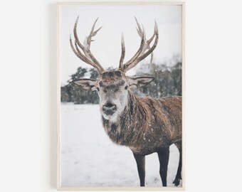 Reindeer Elk Christmas Printables Rudolf Deer Print Winter Print Large Wall Art Prints Elk Poster Instant Download Digital Modern Art Poster