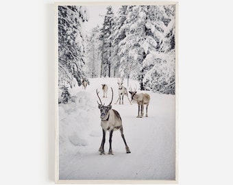 Reindeer Print Winter Wall Art Nordic Christmas Printable Instant Download Snow Covered Trees Christmas Decor Scandinavian Art Digital Art