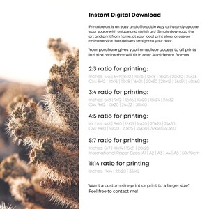 May include: Printable art download guide with different size ratios for printing. The guide includes inches and centimeters measurements for each ratio. The text reads "Instant Digital Download" and "Want a custom size print or print to a larger size? Feel free to contact me!"