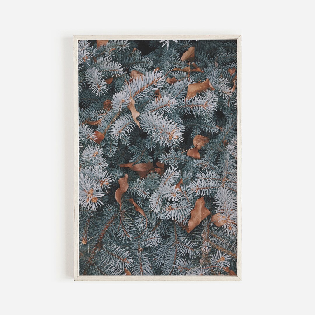Pine Tree Close up Print Fir Pine Art Tree Minimalist Forest Print ...