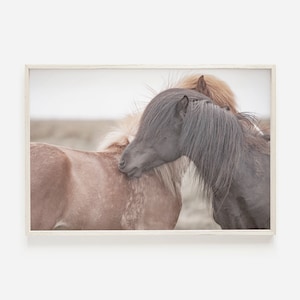Horse Printable, Horse Wall Art Prints, Horse Photography, Farmhouse Decor, Printable Wall Art, Large Horse Poster, Rustic Horse Printable
