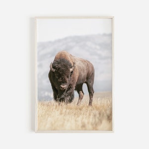 Printable Bison Wall Art, Buffalo Print, Western Prints, Bison Wall Art, Custom Bison, Printable Buffalo, American Bison Print, Wall Art