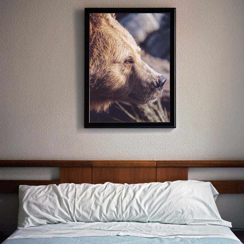May include: A framed photograph of a brown bear's face, with the bear's head turned to the side and its eyes closed. The bear is in a natural setting, with green grass and leaves in the background.