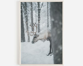 Reindeer In The Forest Print, Snowy Christmas Decor, Winter Wildlife Photography, Reindeer Digital Art, Snowy Reindeer Printable