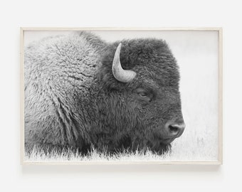 Buffalo Wall Art, Bison Print, Black and White Bison Art Print, Buffalo Print, Bison Poster, Black And White Printable Art, Modern Bison Art