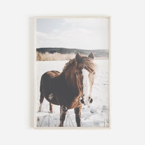 Wild Horse In Snow Farmhouse Decor Poster Western Decor Horse Wall Art Prints Horse Photography Icelandic Horse Print Farmhouse Rustic Print