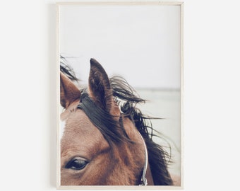 Horse Print, Horse Wall Art, Wild Horse Art Print, Horse Photography, Boho Horse Art, Horse Lover Gift, Farm Animal Art, Farmhouse Wall Art