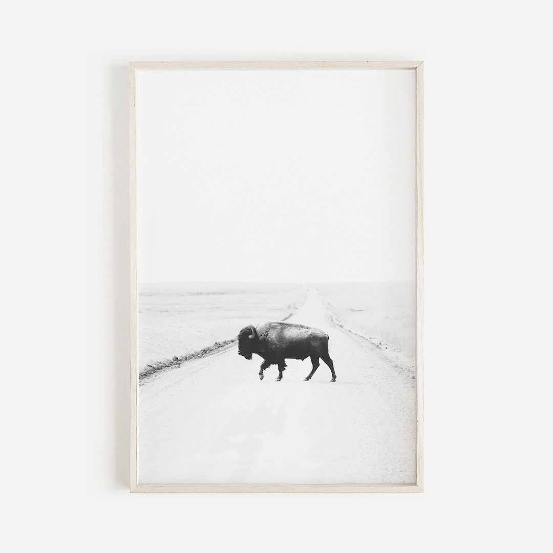 Modern Farmhouse Bison Print, Buffalo Print, Black and White Cow