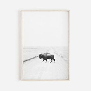 Modern Farmhouse Bison Print, Buffalo Print, Black And White Cow, Animal Print,Southwestern Art, Nature Wall Art,Bison Poster,Buffalo Poster