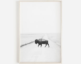 Modern Farmhouse Bison Print, Buffalo Print, Black And White Cow, Animal Print,Southwestern Art, Nature Wall Art,Bison Poster,Buffalo Poster