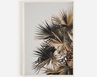 May include: A close-up of a palm tree with green and brown leaves against a light gray sky.