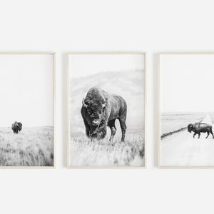 Buffalo Wall Art Set, Set of 3 Prints, Black and White Bison Set, Americana, Western Wall Decor, Bison Poster Set, Yellowstone Bison Prints