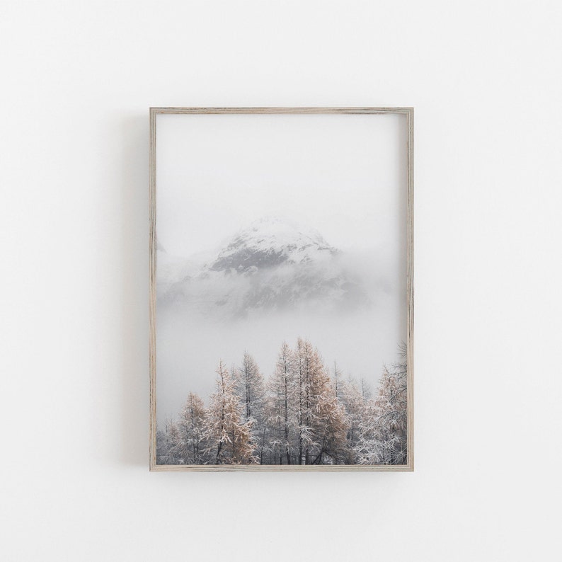 May include: A framed photograph of a snowy mountain peak with a forest of trees in the foreground. The trees are covered in snow and fog, creating a misty and ethereal atmosphere.