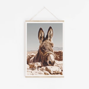 Southwestern Donkey Burro Art Print, Digital Print, Burro, Morocco, Desert Animal, New Mexico, California, Joshua Tree, Modern Boho Home Art image 2