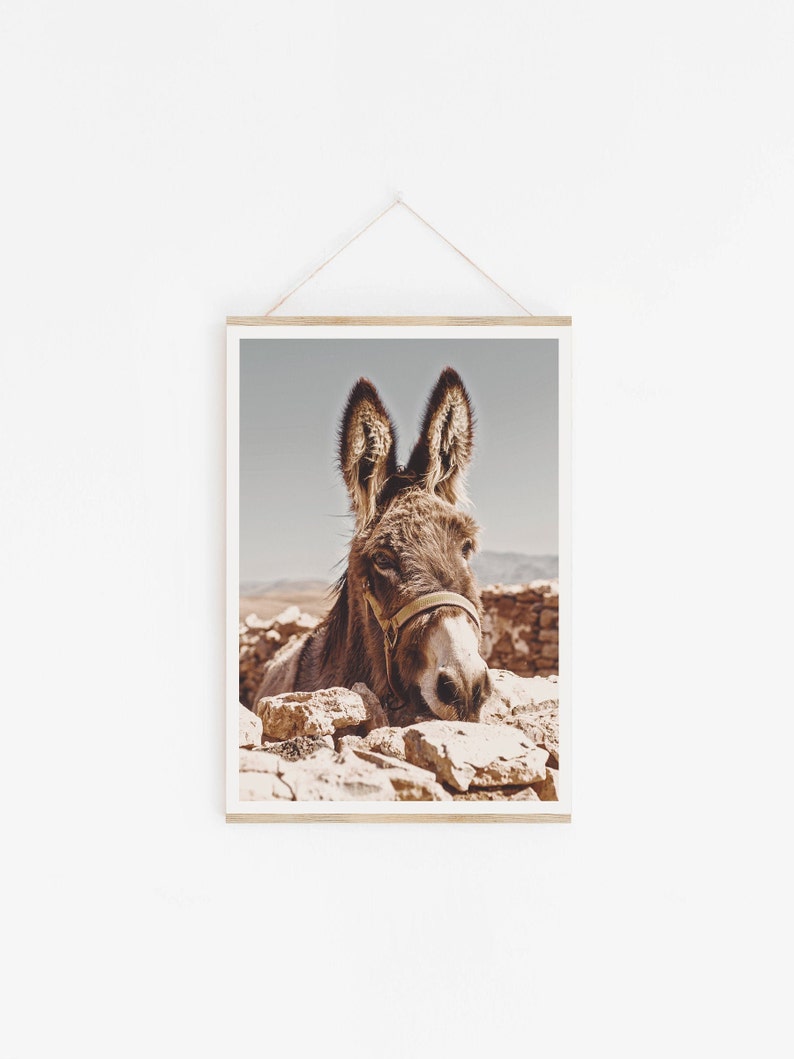 Southwestern Donkey Burro Art Print, Digital Print, Burro, Morocco, Desert Animal, New Mexico, California, Joshua Tree, Modern Boho Home Art image 2