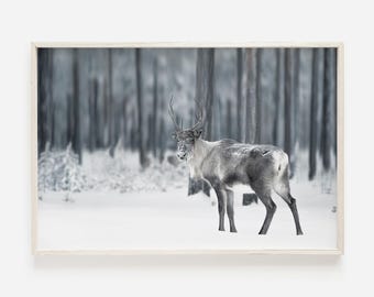Reindeer In The Woods Print, Rustic Christmas Decor, Moody Wildlife Art, Woodland Reindeer Poster, Reindeer In Snow, Snowy Forest Reindeer
