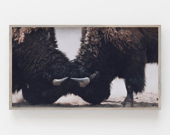 Samsung Frame TV Art | Bison Digital Art | Art for Frame Tv | South Western Print | Animal For Frame Tv | Modern Farmhouse Digital Art