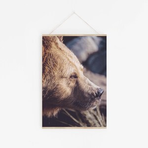 May include: Close-up of a brown bear's face, looking to the right. The bear's fur is soft and fluffy, and its eyes are dark and intense. The background is blurred, with a hint of green foliage.