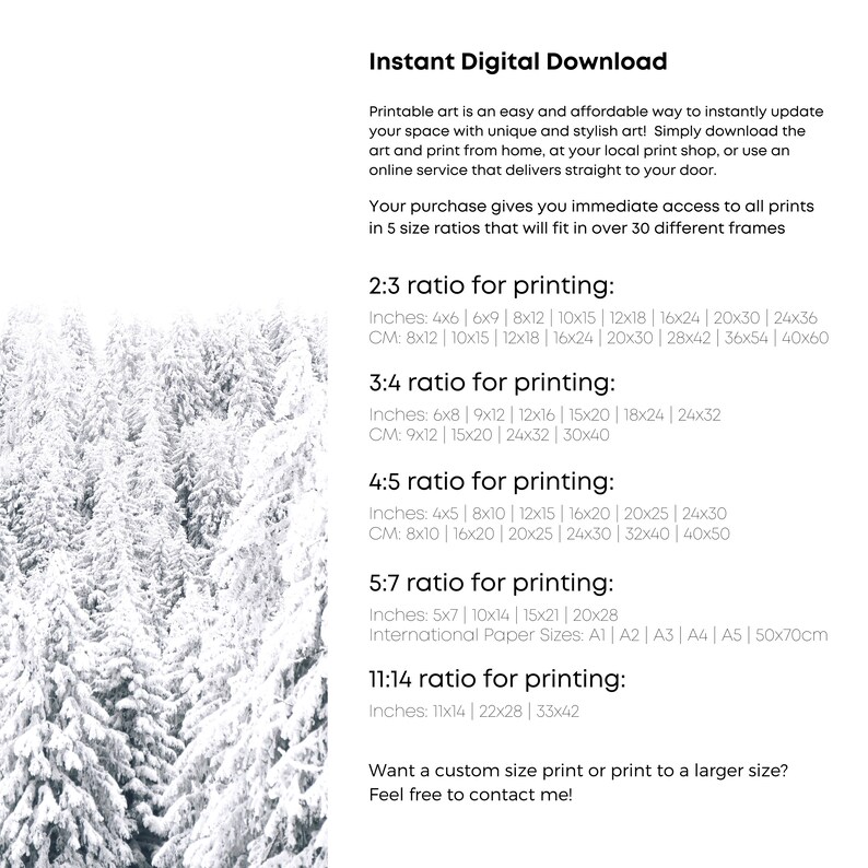 May include: Printable art size guide with different aspect ratios for printing. The guide includes inches and centimetres measurements for each ratio. The text says "Instant Digital Download" and "Want a custom size print or print to a larger size? Feel free to contact me!"