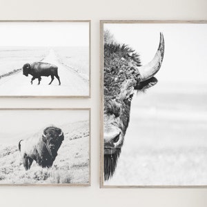 Custom Bison Print Set of 3, Western Prints, Bison Print, Buffalo Wall Art, Set of 3 Prints, Bison Wall Art, Set of 3 Printable Buffalo