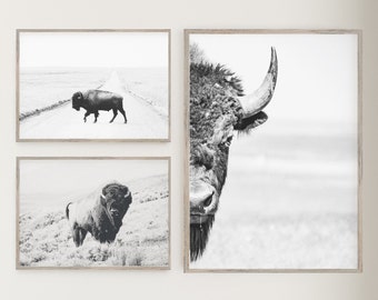 Custom Bison Print Set of 3, Western Prints, Bison Print, Buffalo Wall Art, Set of 3 Prints, Bison Wall Art, Set of 3 Printable Buffalo