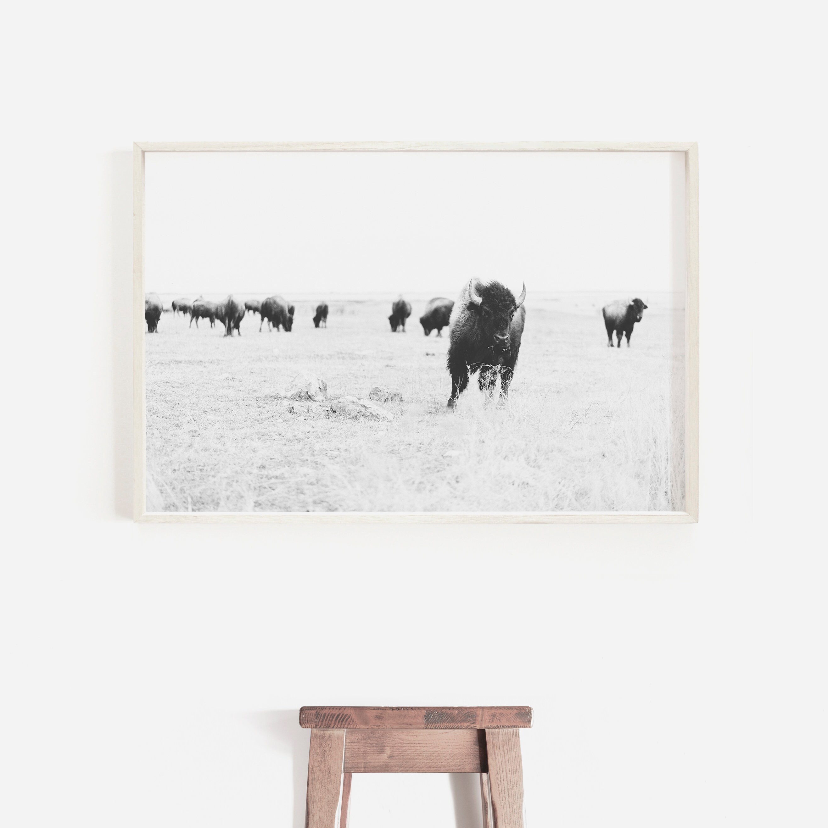 Buffalo Wall Art Bison Print Bison Wall Art Americana Etsy
