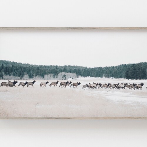 Samsung Frame TV Art Elk Art for Frame TV Animal Digital Etsy