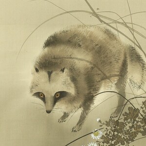 今井景樹 Imai Keiju (1891-1967) Japanese kakemono wall hanging scroll / Old Raccoon Dog and Chrysanthemum with Original Box (Tomobako) RB115