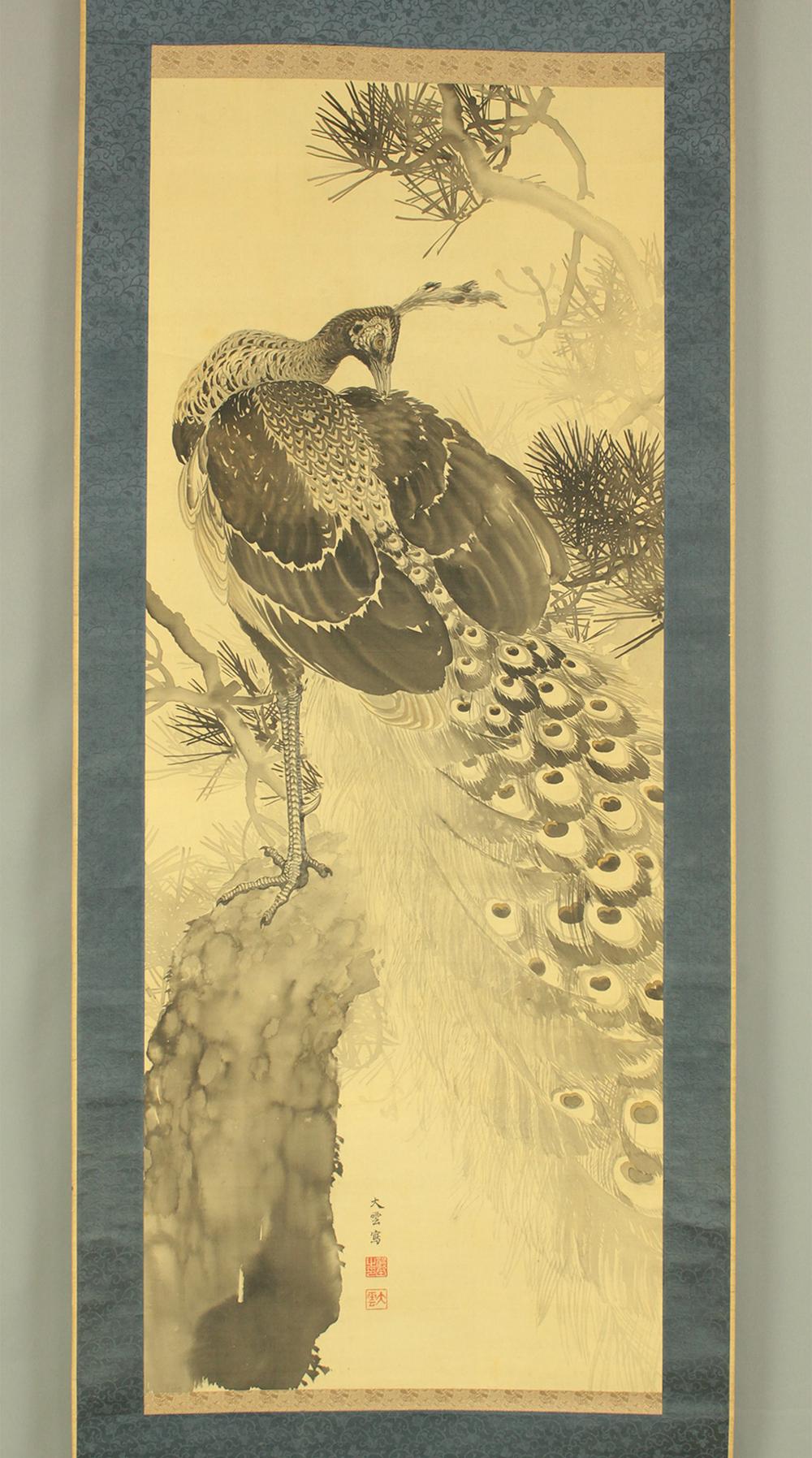 小村大雲 大村泰雲 (1883-1938) 日本美術 掛軸 掛け軸 / クジャク 古松 