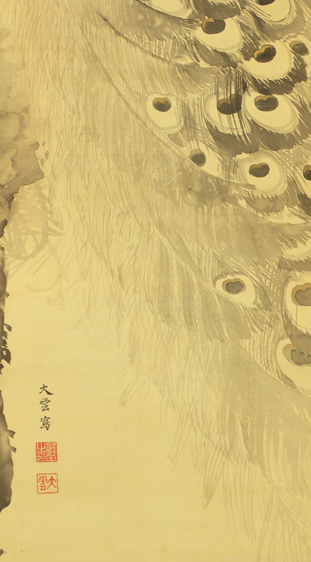 小村大雲 大村泰雲 (1883-1938) 日本美術 掛軸 掛け軸 / クジャク 古松 