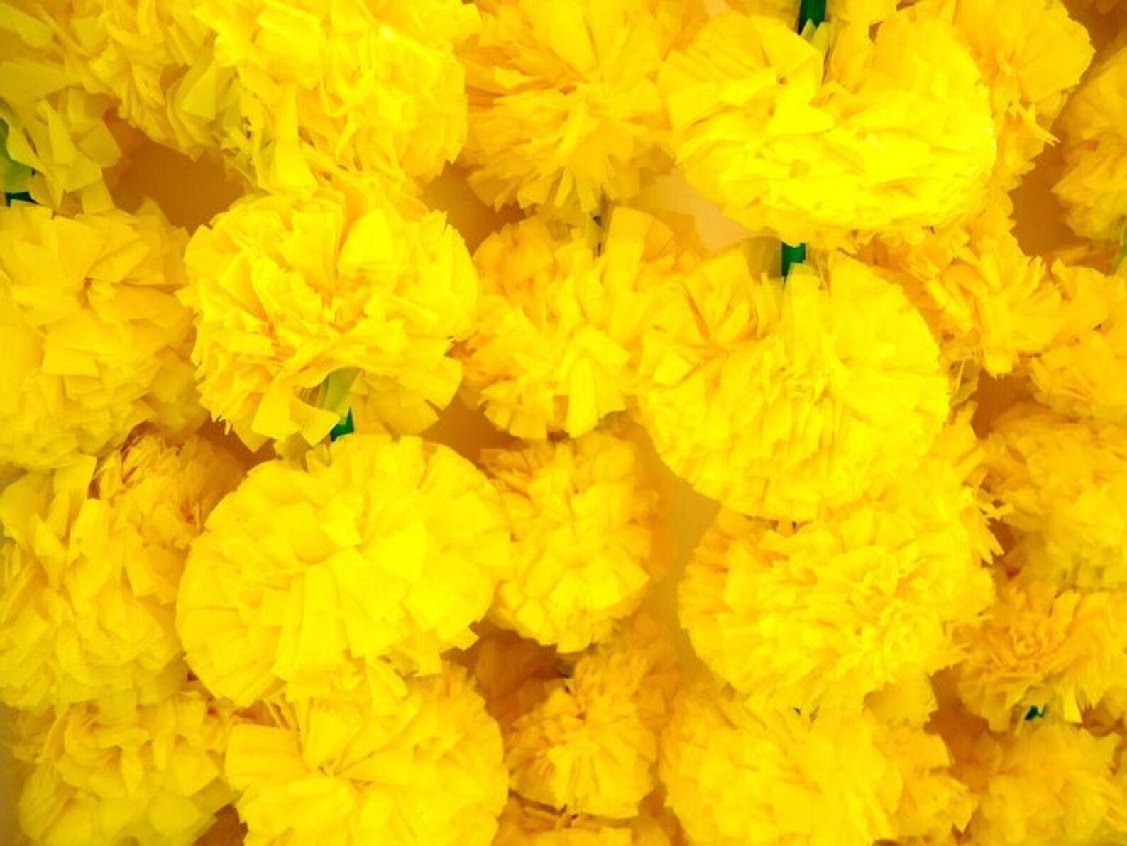 SALE ON Indian Yellow Color Artificial Decorative Marigold Etsy India