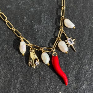 Italian Multi-Charm Necklace, Gold Italian Chilli Pepper Choker, Mixed Charm Horn Cornicello Necklace, Mediterranean Summer Gift for Her