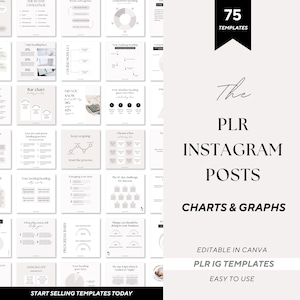 Postagens PLR do Instagram, modelos PLR do Instagram, tabelas e gráficos, infográficos do Instagram, modelos PLR, modelos PLR do Canva, uso comercial