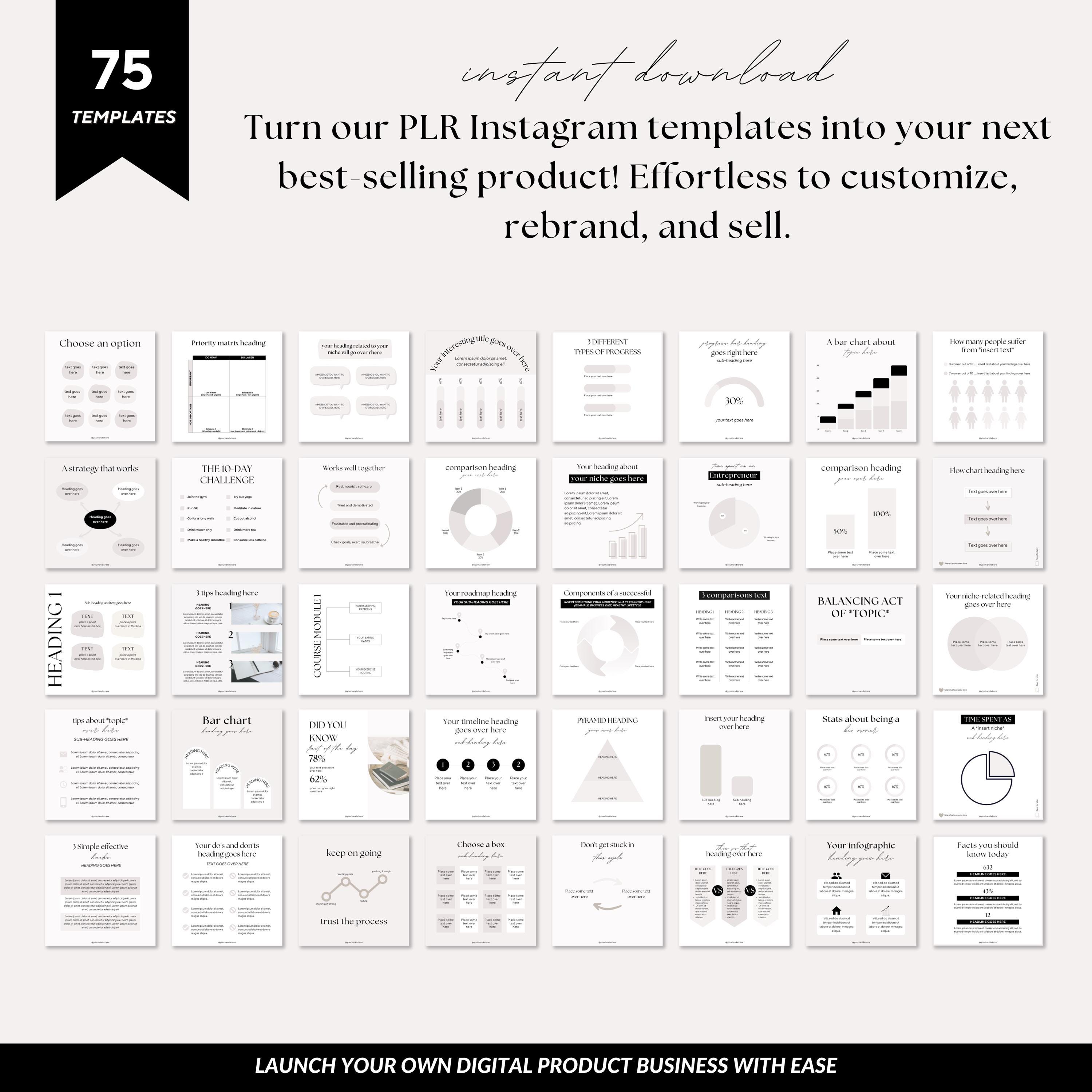 PLR Instagram Posts, PLR Instagram Templates, Charts and Graphs ...