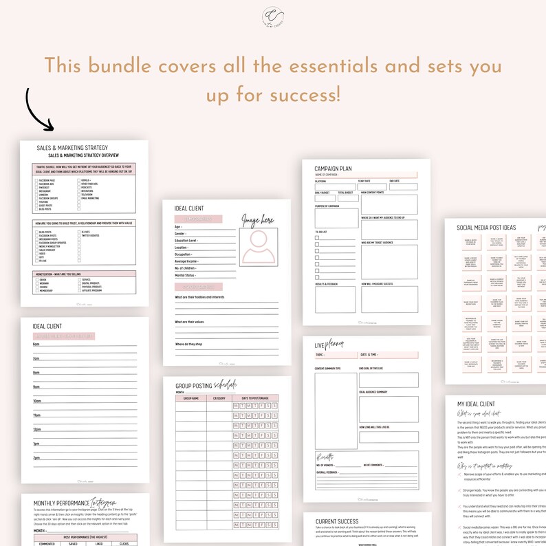 May include: A printable worksheet bundle for social media marketing and business planning. The worksheets include sections for ideal client, campaign plan, social media post ideas, group posting schedule, monthly performance, and live stream planning.