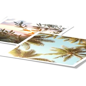 May include: Two square prints with nature scenes. One features olive branches against a sunset, the other shows palm trees against a blue sky. Both prints have white borders and are angled.