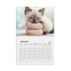 Cute Kitten Calendar 2027, Cats and Donuts Wall Calendar, Cat Lover Gift, Animal Lover Gift, Cute Cat Art image 3