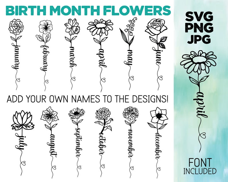 May include: A set of 12 black and white line art illustrations of flowers representing each month of the year. The flowers are arranged vertically with the month name written below each flower. The text "BIRTH MONTH FLOWERS" is at the top of the image. The text "SVG PNG JPG" is in the top right corner of the image. The text "ADD YOUR OWN NAMES TO THE DESIGNS!" is in the middle of the image. The text "FONT INCLUDED" is in the bottom right corner of the image.