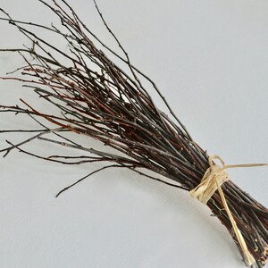 May include: A bundle of thin, brown twigs tied together with natural twine. The twigs are arranged in a fan shape, with the ends of the twigs pointing outwards.