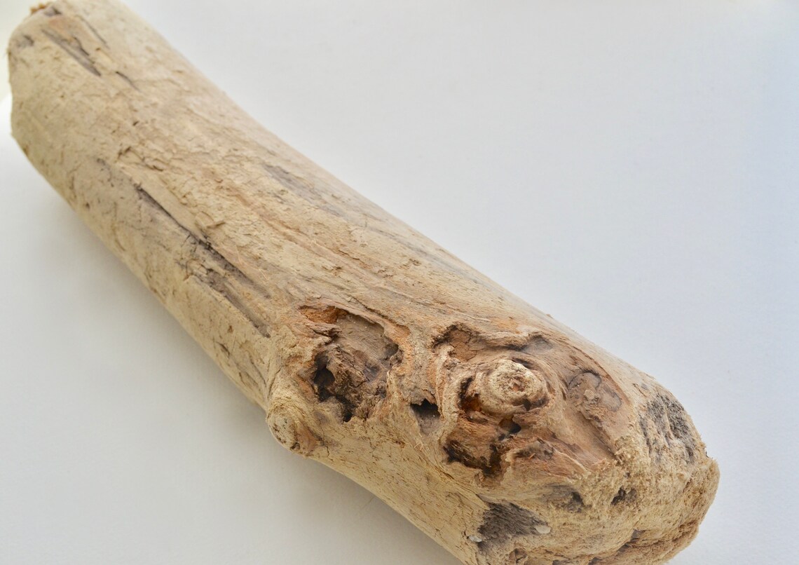 Driftwood Log Driftwood Log Large Large Driftwood Log Large Driftwood