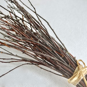 May include: A bundle of thin, brown twigs tied together with a natural twine bow. The twigs are arranged in a fan shape, creating a rustic and natural look.