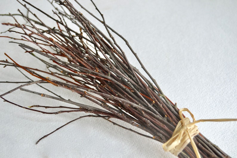 May include: A bundle of thin, brown twigs tied together with a natural twine bow. The twigs are arranged in a fan shape, creating a rustic and natural look.