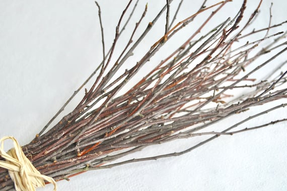 Cherry Wood Twigs ~Twig Bundle ~ Cherry Wood Branch ~ Fall Decor ~ Fall Wedding Decor ~ Winter Wedding Decor ~ Twigs For Vases ~ Twigs