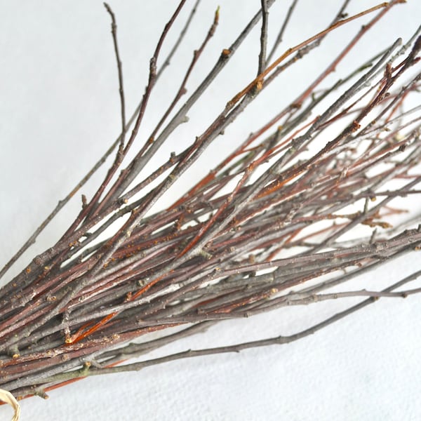 Cherry Wood Twigs ~Twig Bundle ~ Cherry Wood Branch ~ Fall Decor ~ Fall Wedding Decor ~ Winter Wedding Decor ~ Twigs For Vases ~ Twigs