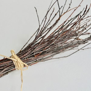 May include: A bundle of thin, brown twigs tied together with a natural twine. The twigs are arranged in a fan shape, with the ends of the twigs pointing outwards.