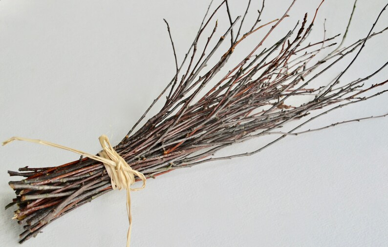 May include: A bundle of thin, brown twigs tied together with a natural twine. The twigs are arranged in a fan shape, with the ends of the twigs pointing outwards.