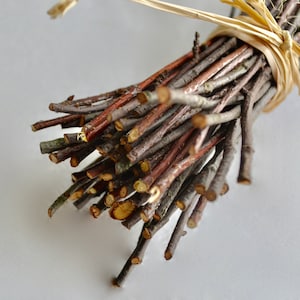 May include: A bundle of thin, natural twigs tied together with a natural twine bow. The twigs are a mix of brown and gray colors.