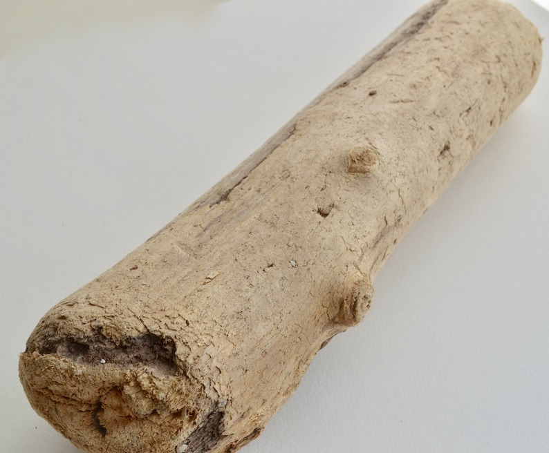 Driftwood Log Driftwood Log Large Large Driftwood Log Large Driftwood