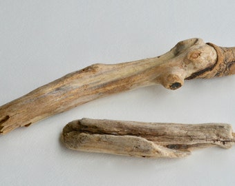 Drift Wood ~ Driftwood Pieces ~ Reptile Tank Decor ~ Reptile Decor ~ Terrarium Decor ~ Terrarium Wood ~ Wood for Reptiles ~ Reptiles ~ D3034